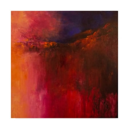 Aleta Pippin 'Darkness Descends' Canvas Art,24x24